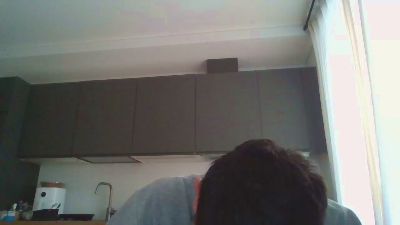 Flygvrd webcam model stream image