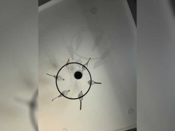 Roxysh webcam model stream image