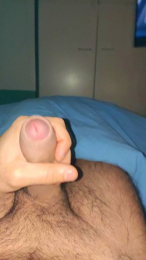 Vittosto webcam model stream image