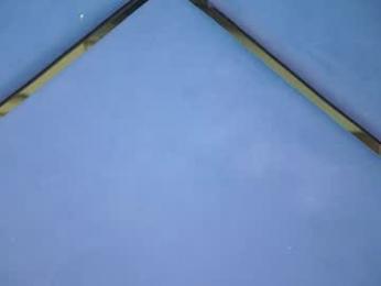emily_greco webcam model stream image