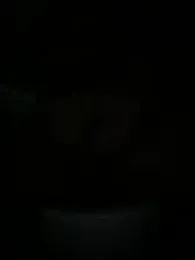 alan0ass webcam model stream image