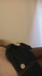 HECTOrr1r1 webcam cam4 model stream image