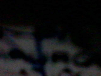 Lauries webcam bongacams model stream image