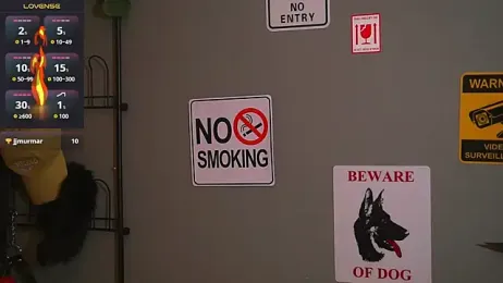 HairyRobxxx webcam model stream image