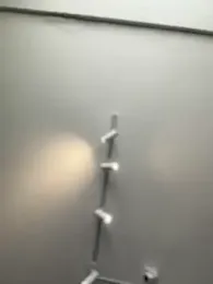 Mila_LS webcam model stream image