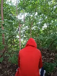 Forest_lover24 webcam model stream image