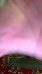 boysbroke webcam model stream image