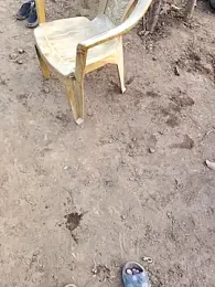 desi_alpha_boy webcam model stream image