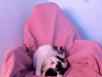 _sexyviolet webcam model stream image