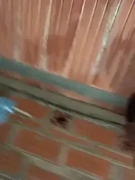 Megan2026 webcam model stream image