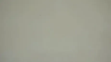 Giselle-R webcam model stream image