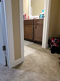 AmethystFoxx webcam model stream image