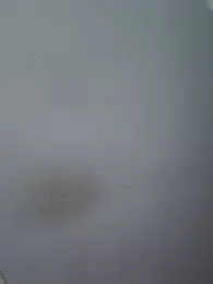 Delxxx26 webcam model stream image