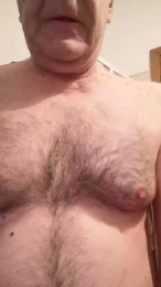 fenicottero1 webcam model stream image