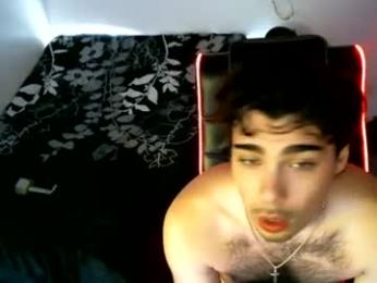 13inchcockkk webcam model stream image
