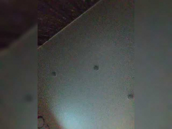 Pantero webcam model stream image