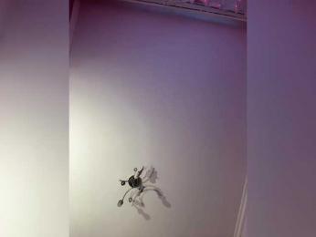 SHAWTY420 webcam model stream image