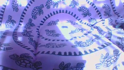 robygig webcam model stream image