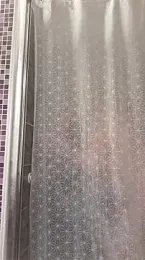 pachapeter webcam model stream image