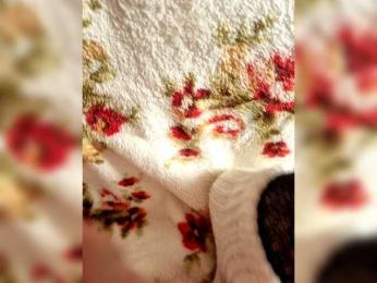 DiiRolla webcam model stream image