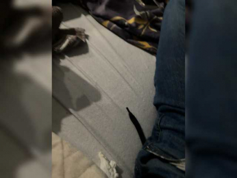 sinful1239 webcam bongacams model stream image