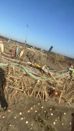 4n4l1zz4m1 webcam model stream image