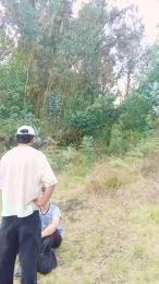 _noahdiaz webcam cam4 model stream image