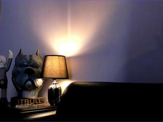 Brad Leon webcam model stream image