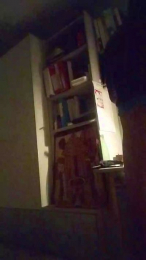 vogliaporcellin webcam model stream image