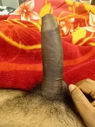 STRIPROHAN webcam model stream image