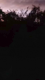 PELAHKWEEDMAN webcam model stream image