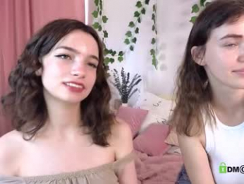 evi_brook webcam model stream image