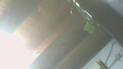 gabrielbusca webcam model stream image