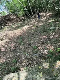 outdoors11 webcam stripchat model stream image