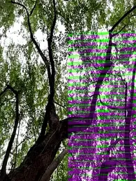 outdoors11 webcam stripchat model stream image