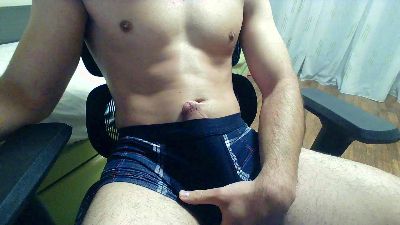 midass_ webcam model stream image