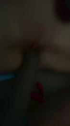 baumstamm webcam model stream image