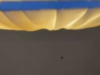 dogpound44 webcam model stream image