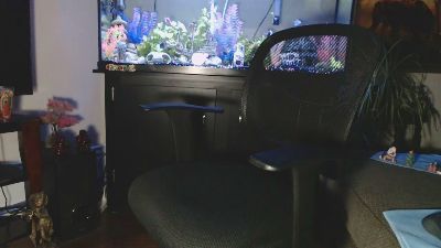 Latinlover513 webcam model stream image