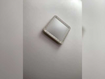 PALMIIRA webcam model stream image