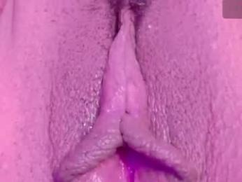 orchidekitty webcam model stream image