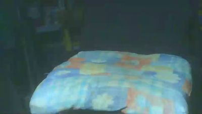 leobau webcam model stream image