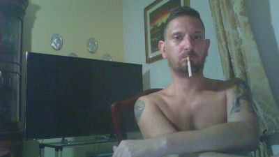 Превью Bull84_