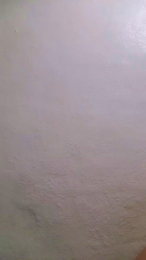 XxTijuanaxX webcam model stream image