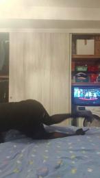 Coppietta74 webcam cam4 model stream image