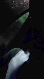 skateboarding webcam model stream image