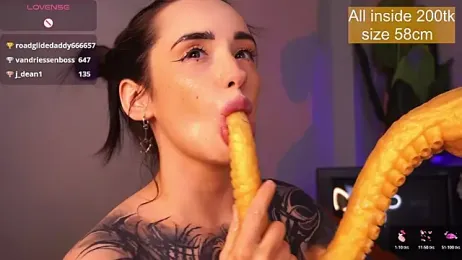 EvaCanton webcam model stream image