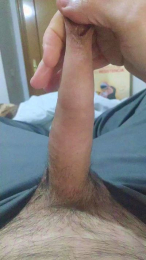 pelansa24 webcam cam4 model stream image