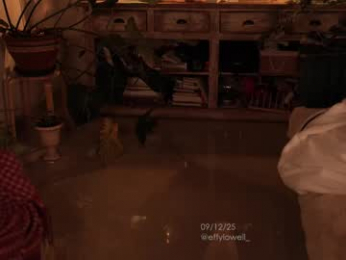 effylowell_ webcam model stream image