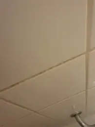 lucpompot webcam model stream image